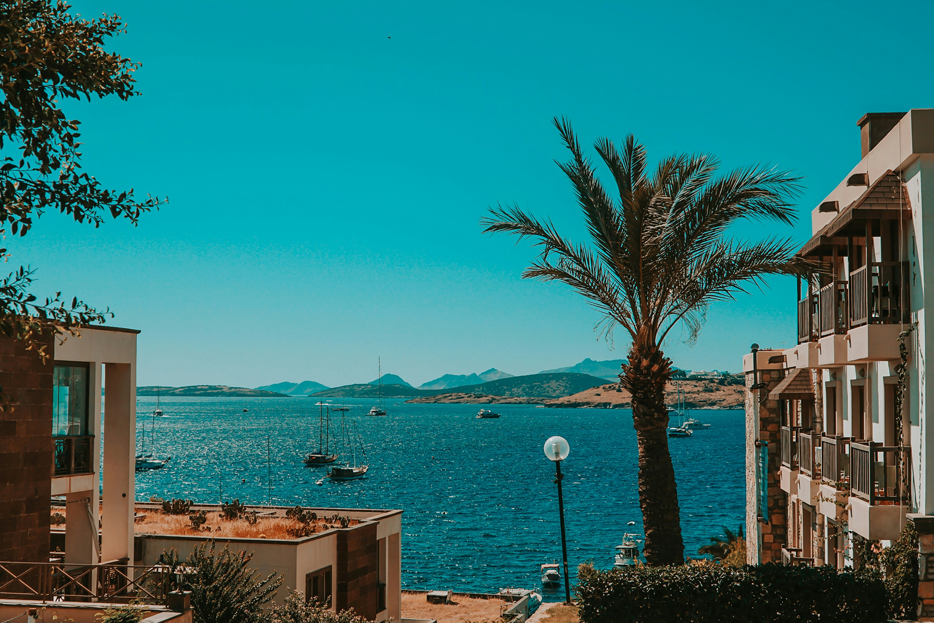 mert-kahveci-GKXk4dxioCY-unsplash (1)