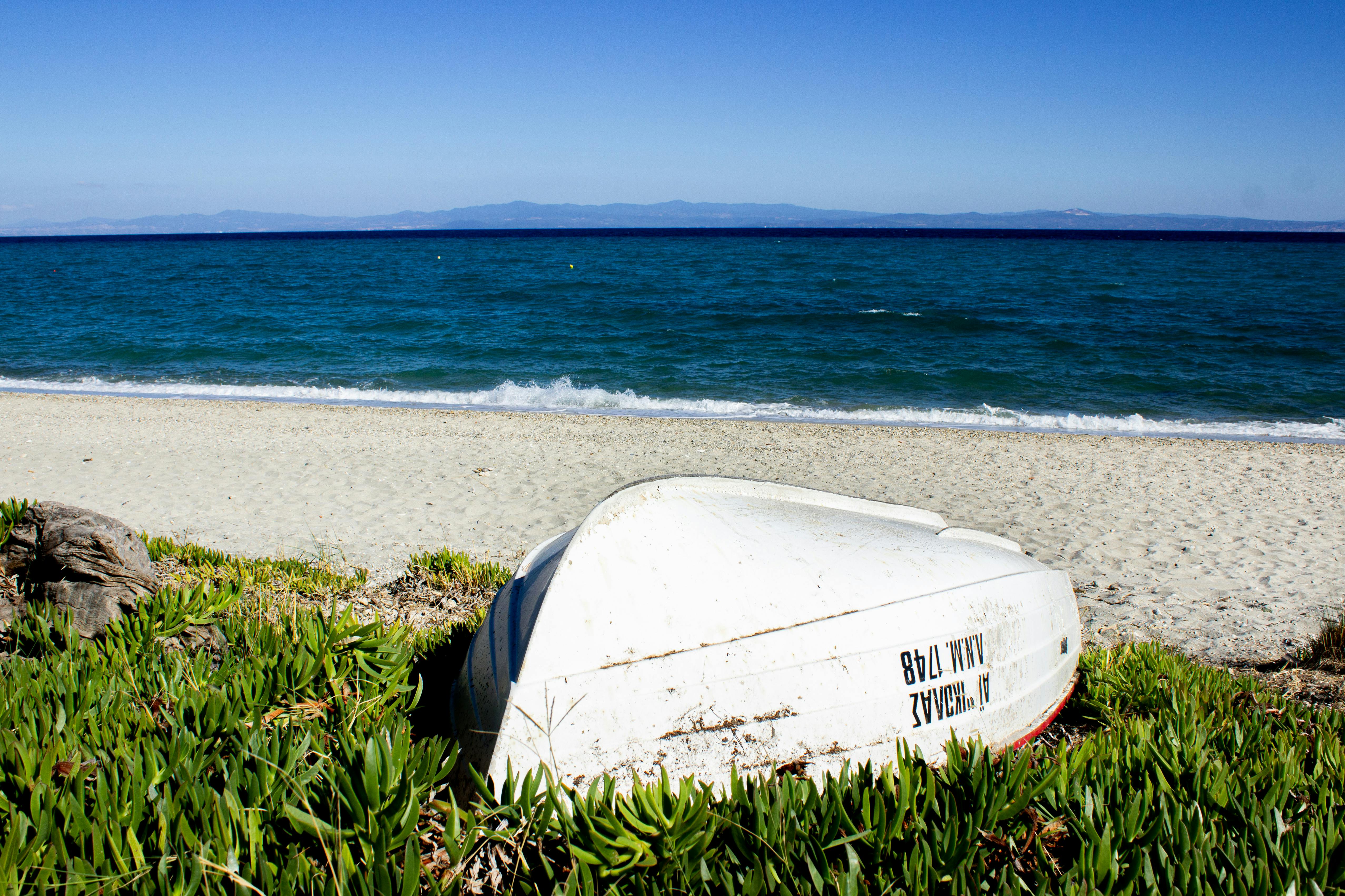 pexels-636238602-34197792 (1)